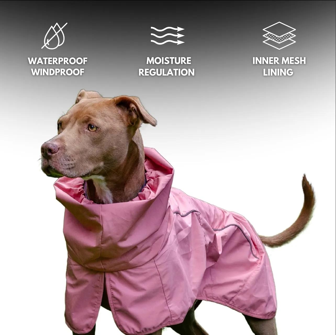 Spark Paws Dog Raincoat, Waterproof Windproof Rain Jacket, for Small Medium Large Extra Large Dogs, Reflective Breathable Full-Body Coverage Dry Suit - Sea Pink, S