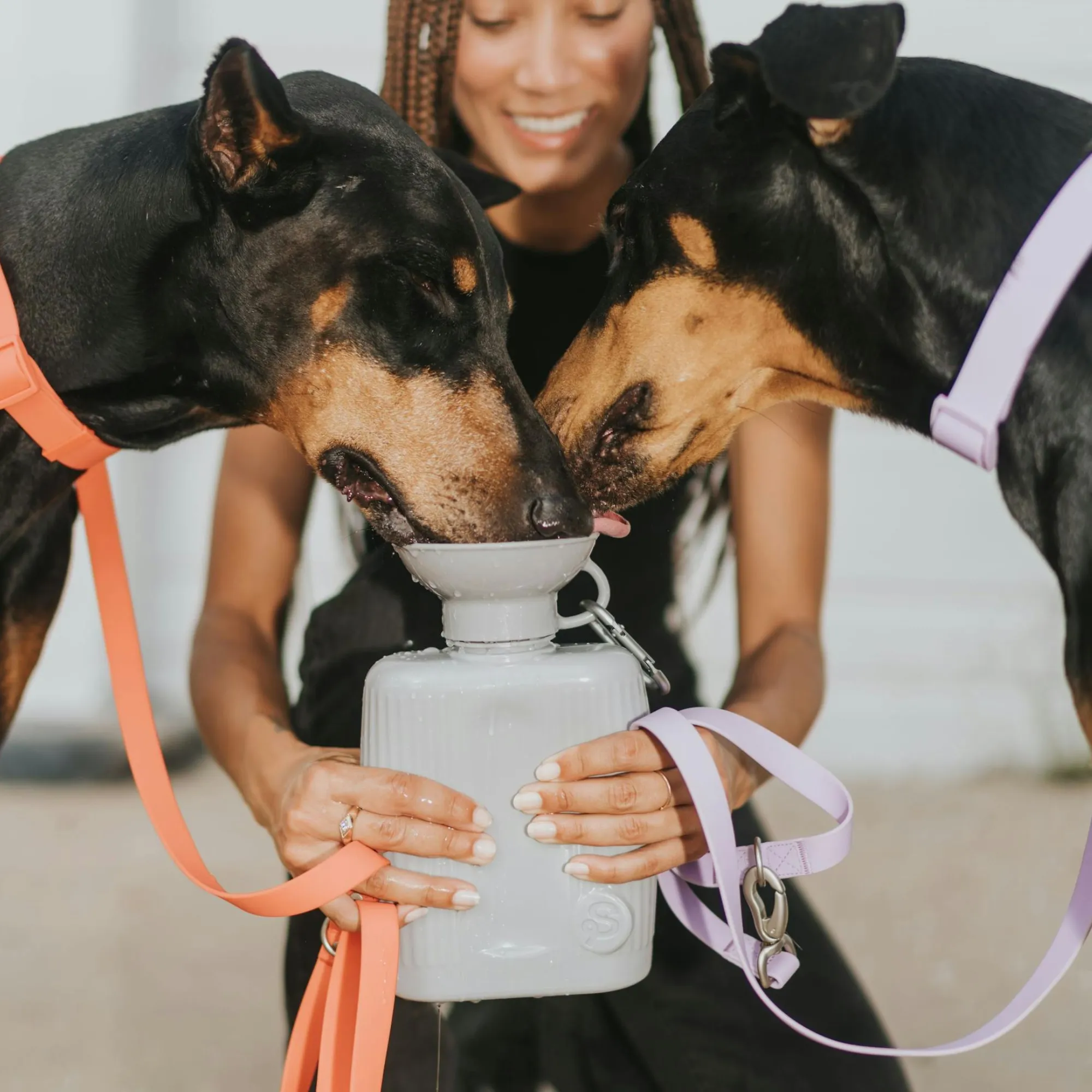 Springer Pets Growler Dog Travel Bottle Springer Green 1.3L