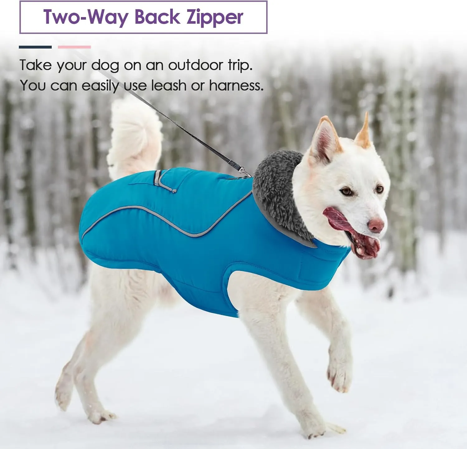 SUNFURA Medium Dog Coat - Reflective Puffer Jacket with Fleece Lining for Cold Weather, Turtleneck Dog Snowsuit with Leash Hole, Turquoise M