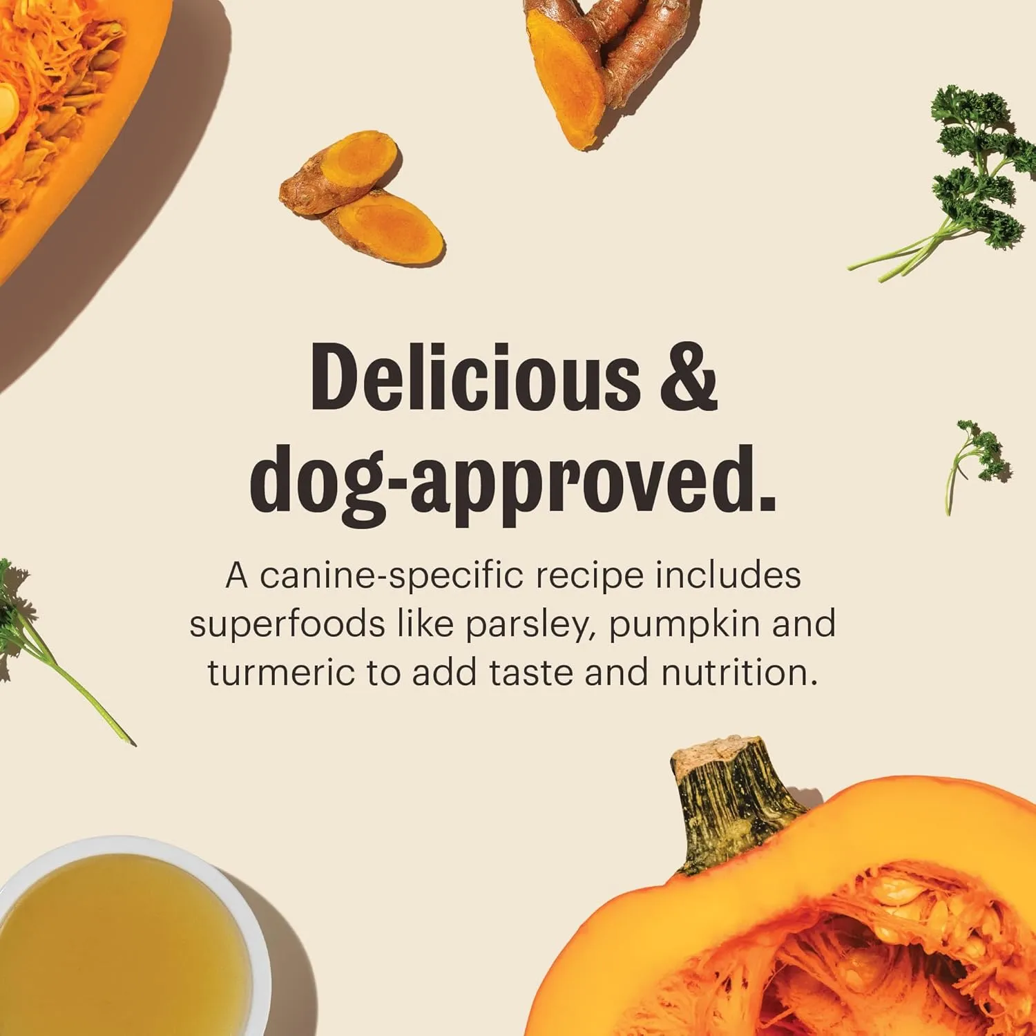 The Honest Kitchen Human Grade Daily Boosts Instant Beef Bone Broth with Turmeric for Dogs 3.6 Ounces