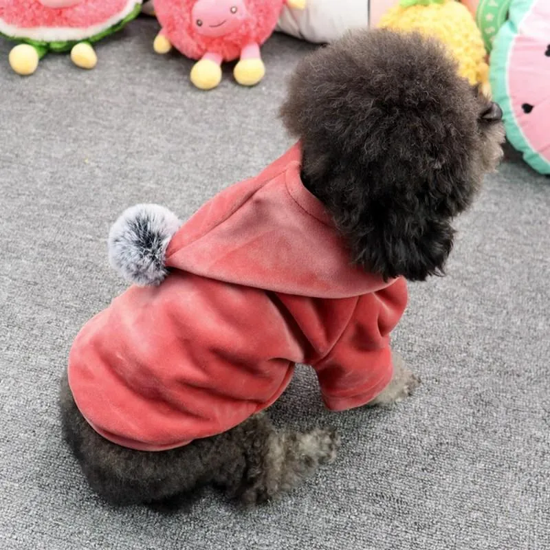 Warm Winter Dog Coat with Pom Pom Hood