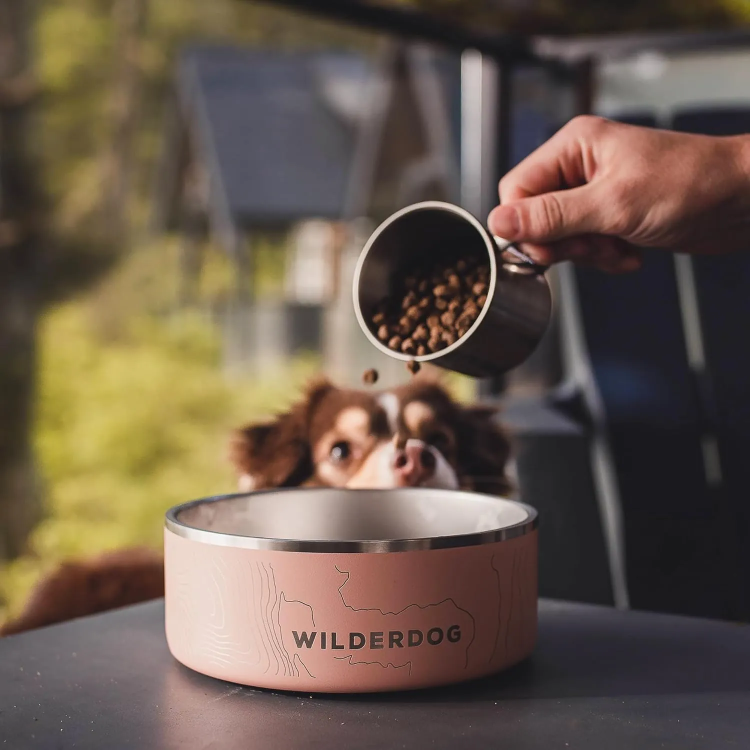 Widlerdog Stainless Steel Dog Bowl with Extra Durable Kitchen-Grade BPA-Free Stainless Steel with Non-Slip Rubber Ringed Bottom (Pacific Blue, 64 oz)