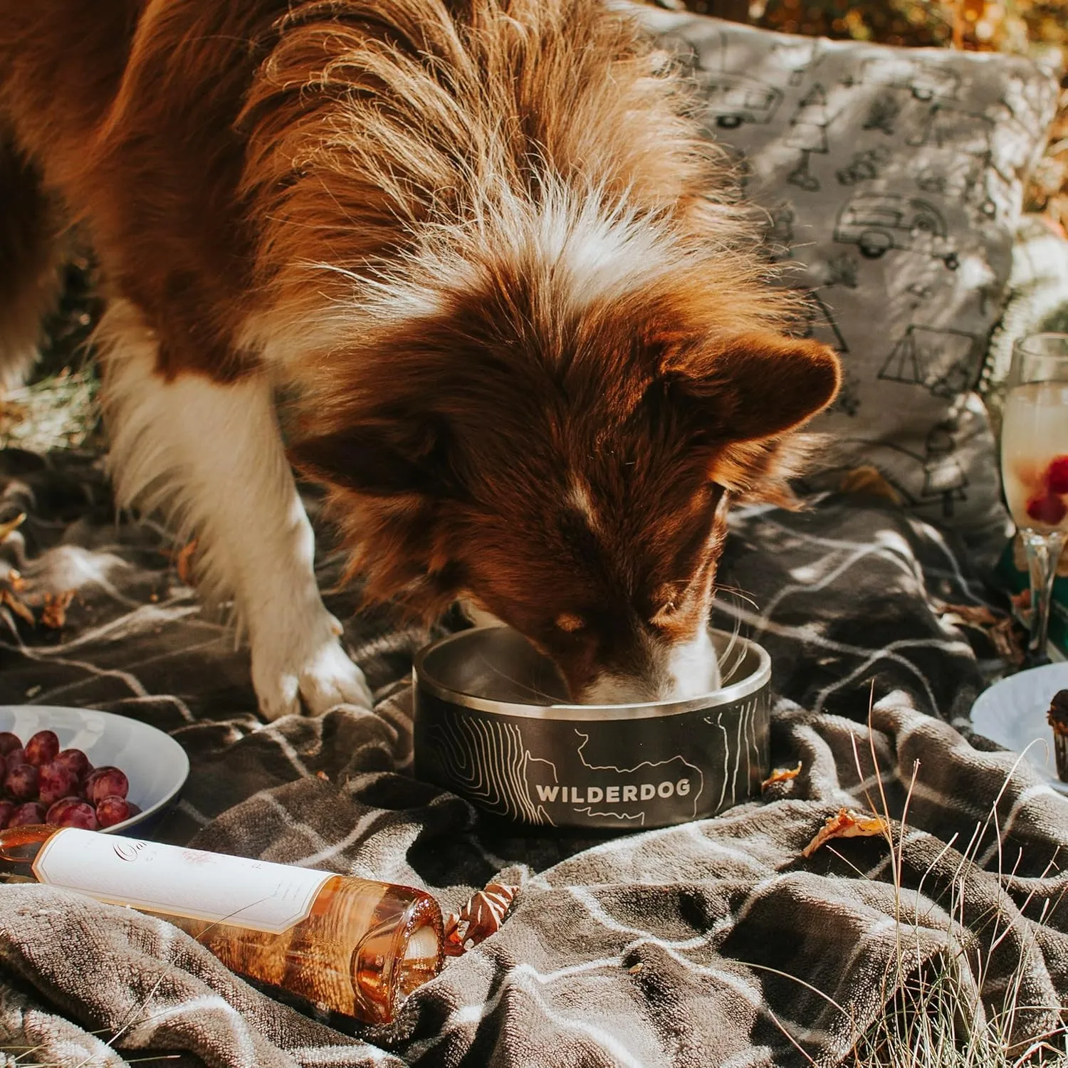 Widlerdog Stainless Steel Dog Bowl with Extra Durable Kitchen-Grade BPA-Free Stainless Steel with Non-Slip Rubber Ringed Bottom (Pacific Blue, 64 oz)