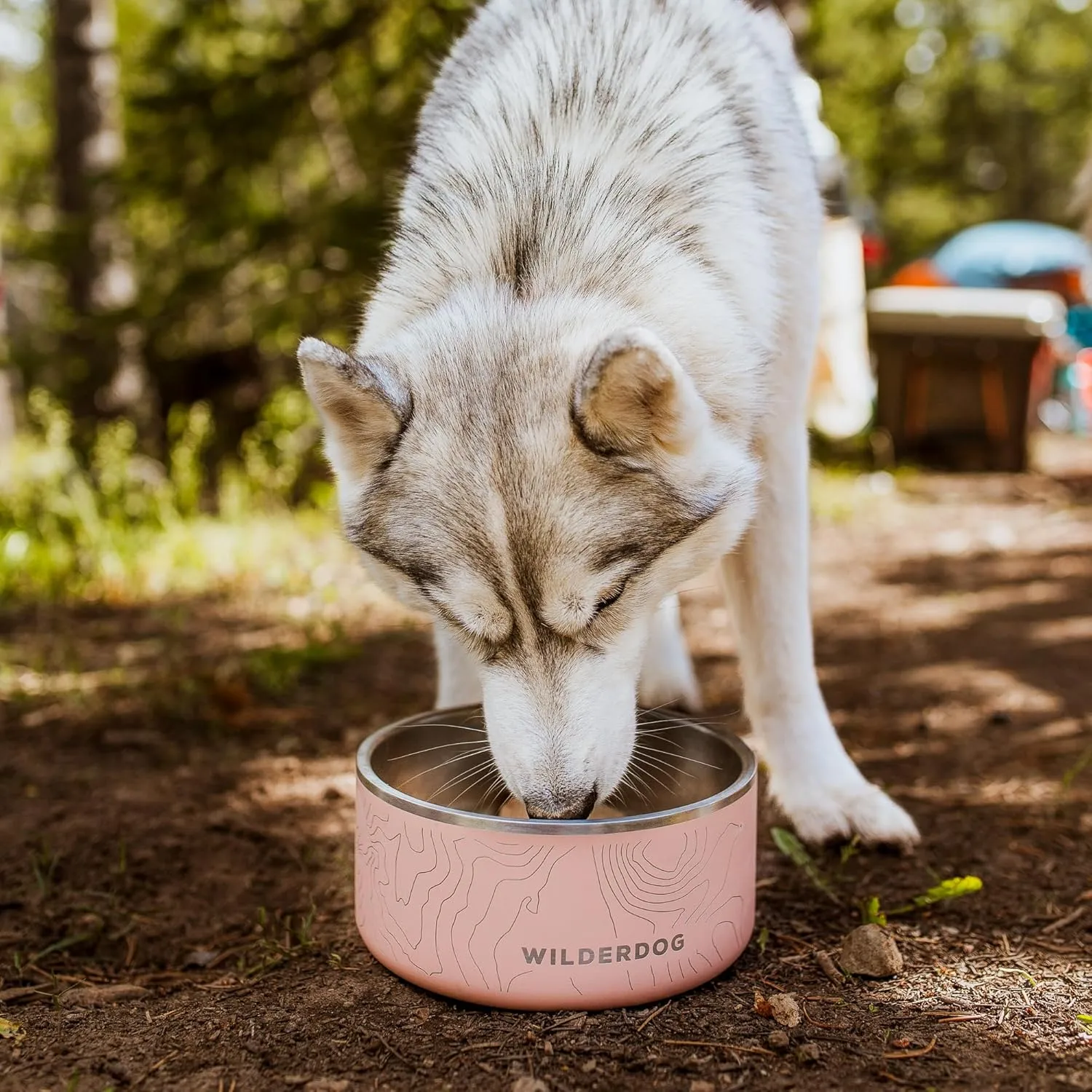 Widlerdog Stainless Steel Dog Bowl with Extra Durable Kitchen-Grade BPA-Free Stainless Steel with Non-Slip Rubber Ringed Bottom (Pacific Blue, 64 oz)