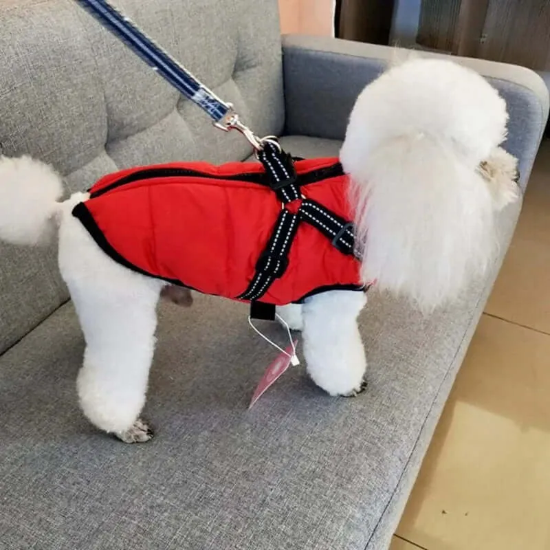 Winter Jacket With Harness for Dogs
