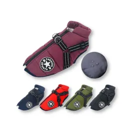 Winter Jacket With Harness for Dogs