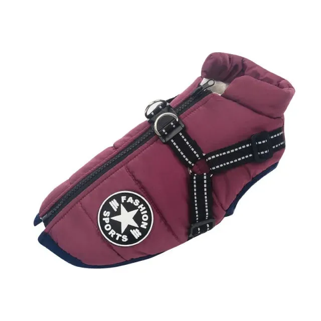 Winter Jacket With Harness for Dogs