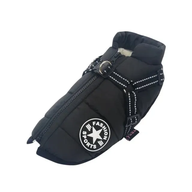 Winter Jacket With Harness for Dogs