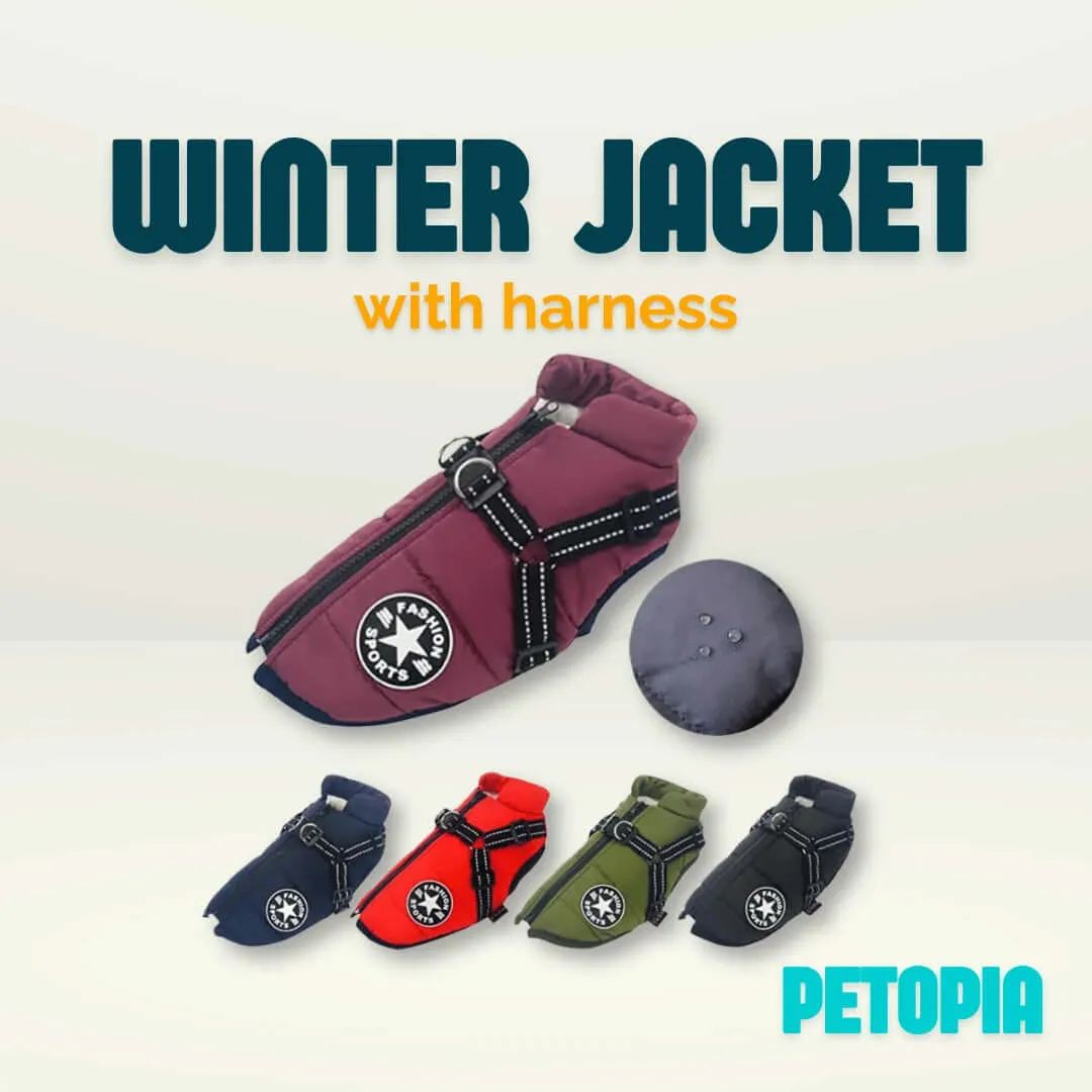 Winter Jacket With Harness for Dogs