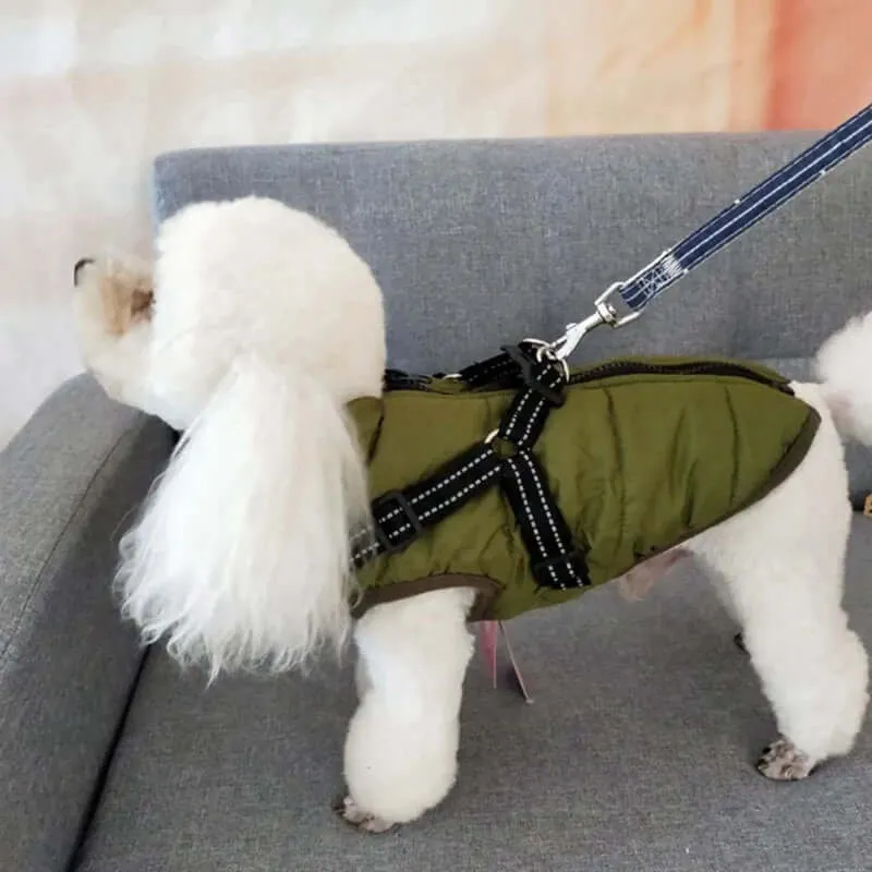 Winter Jacket With Harness for Dogs