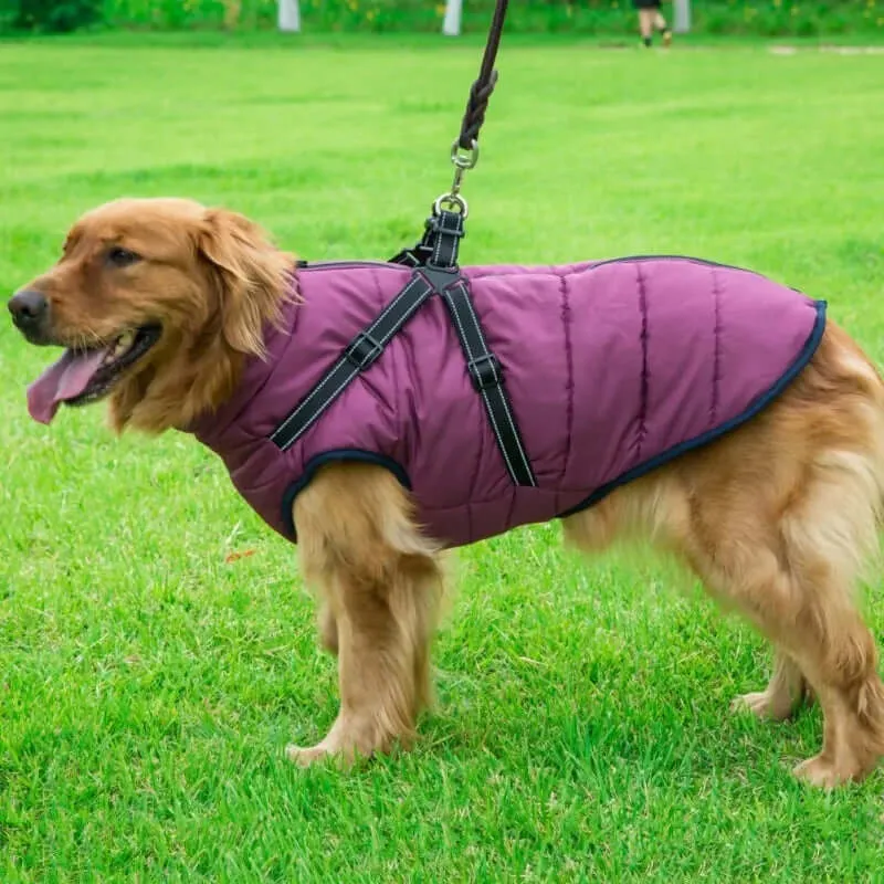 Winter Jacket With Harness for Dogs