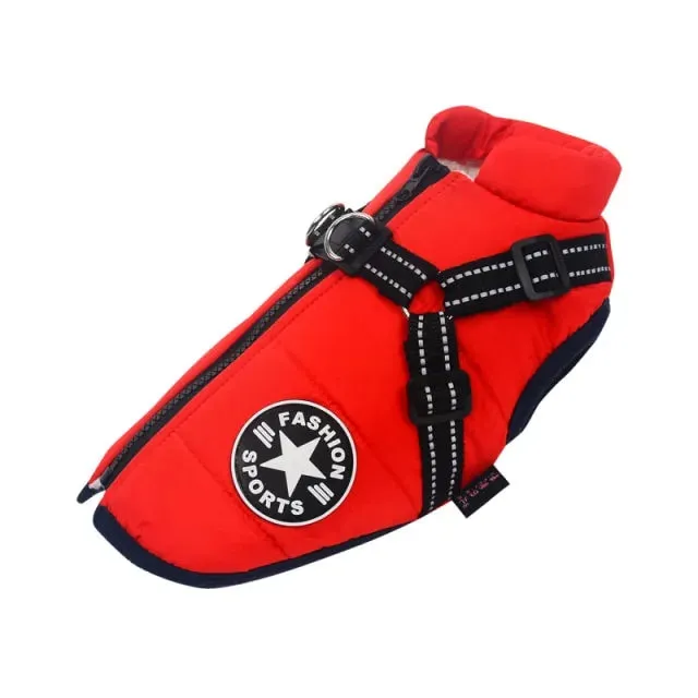 Winter Jacket With Harness for Dogs