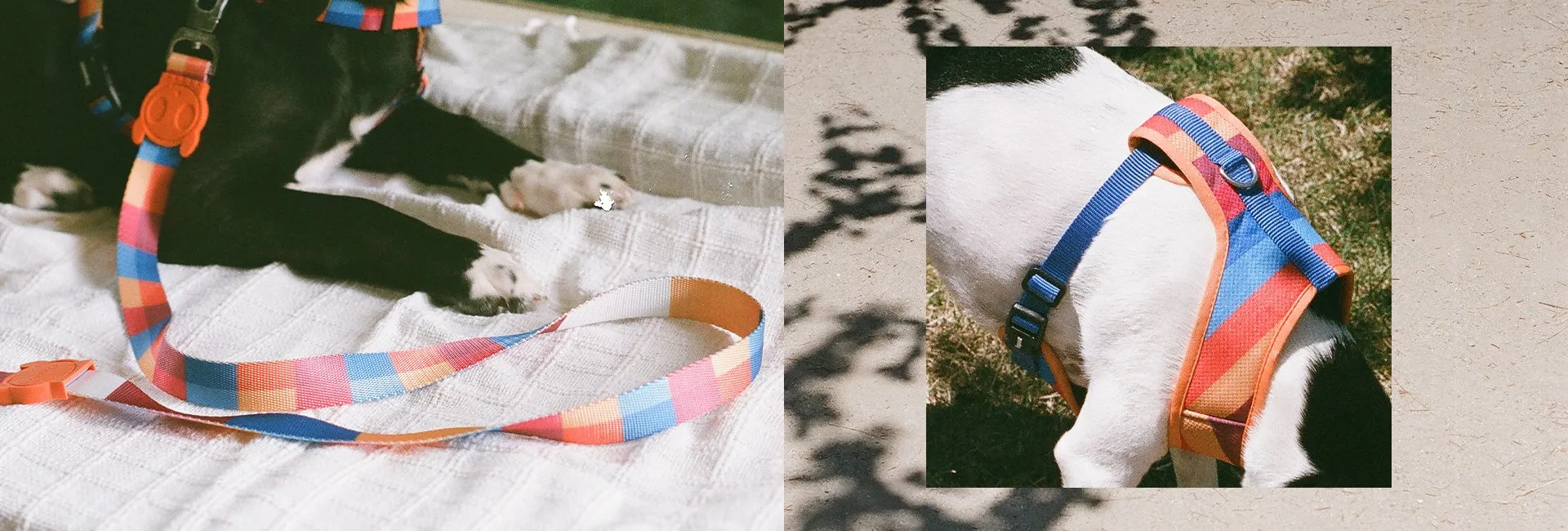Zee.Dog Dog Leash (Parker)
