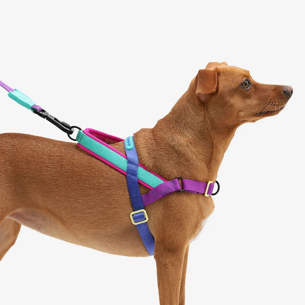 Zee.Dog Softer Walk Shockwave Dog Harness Large