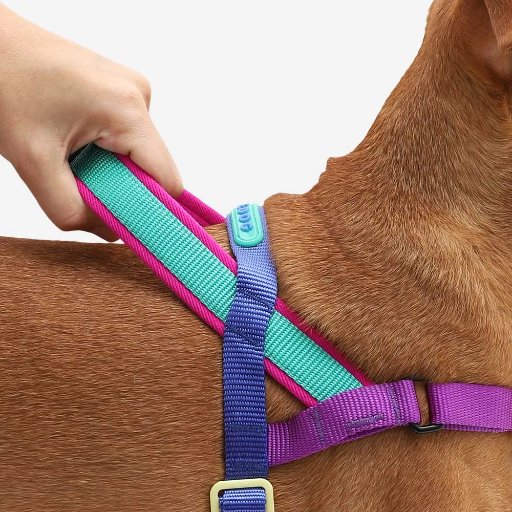 Zee.Dog Softer Walk Shockwave Dog Harness Large